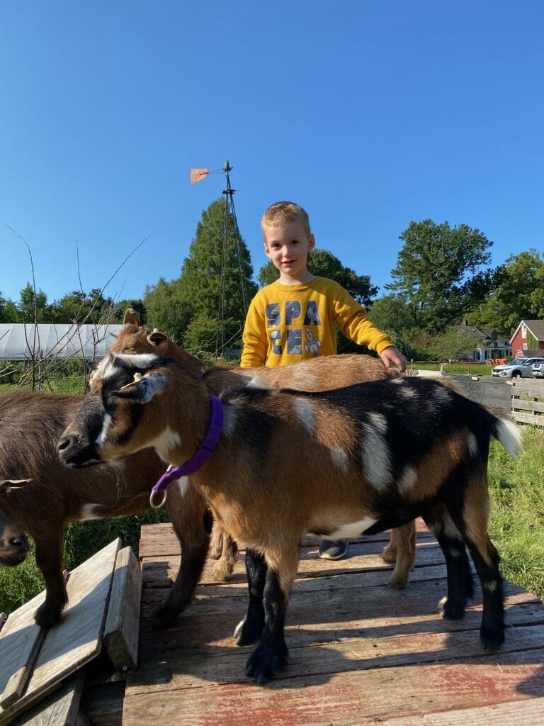 Goat Experience
